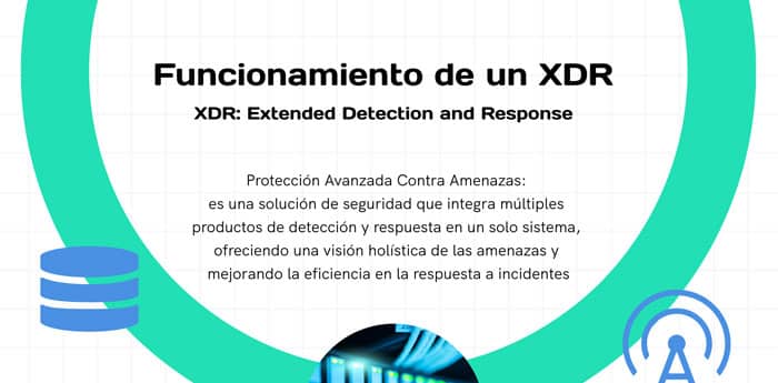 infografia-xdr-bismark